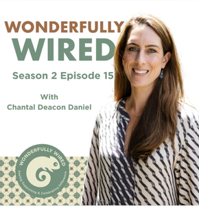 Wonderfully Wired Podcast & Blog post